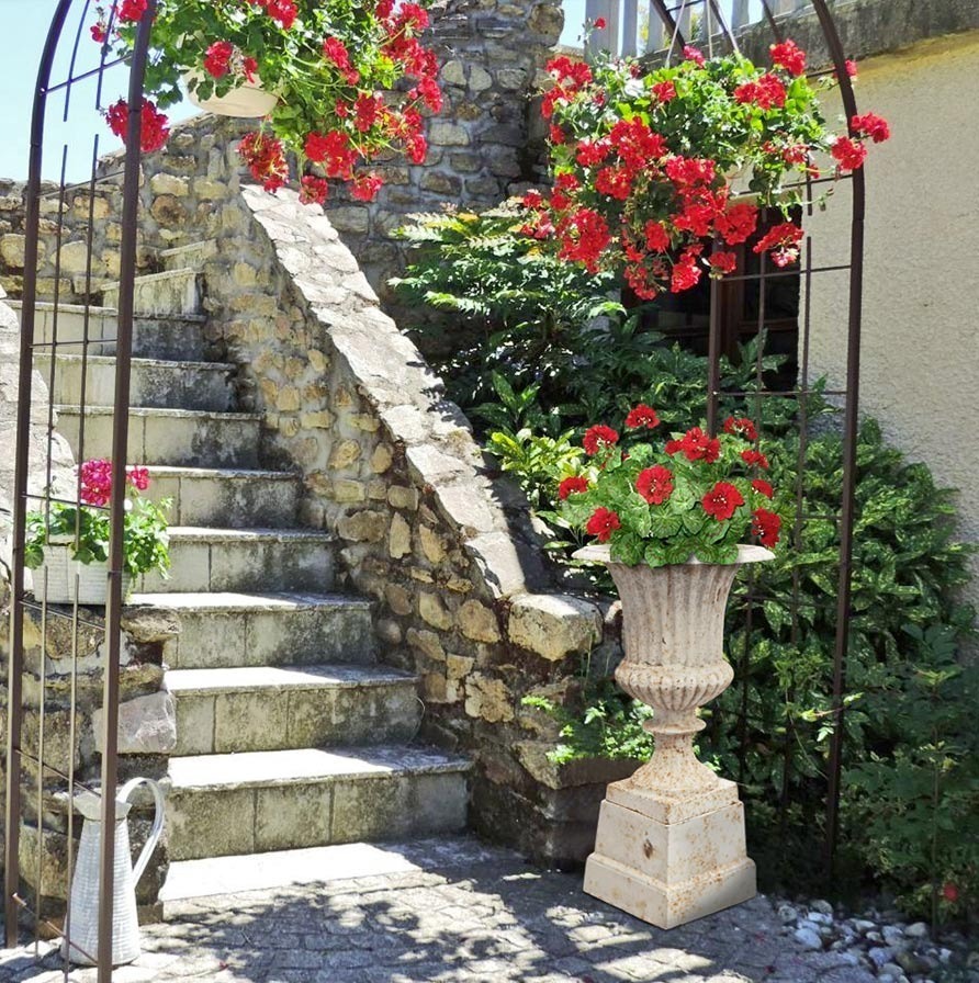 Mettez de la couleur dans votre jardin